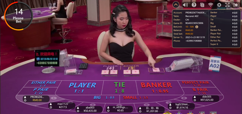 Big Gaming Baccarat