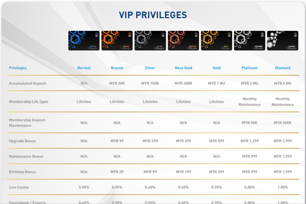 B9Casino VIP program