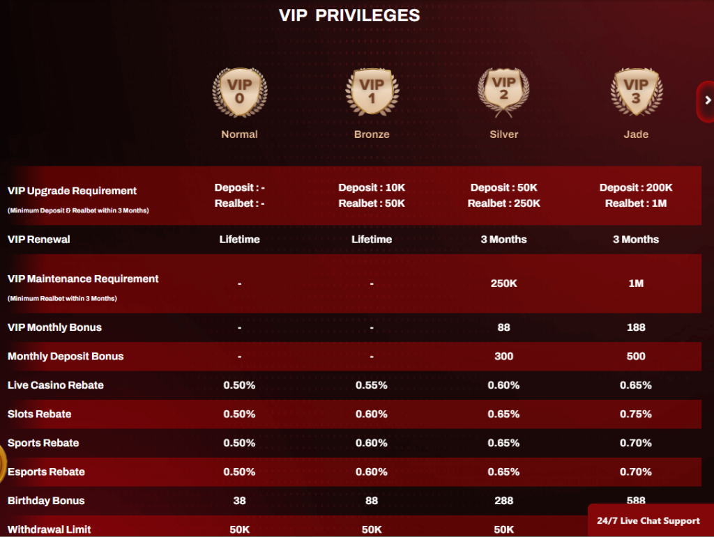 Exclusive 12Play Casino VIP Program Benefits